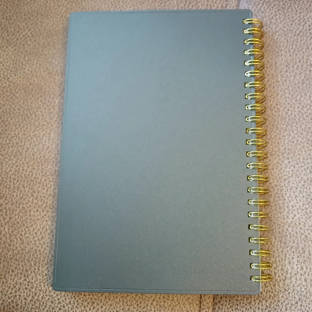 Day Designer tabbed planner 2024 to 2025